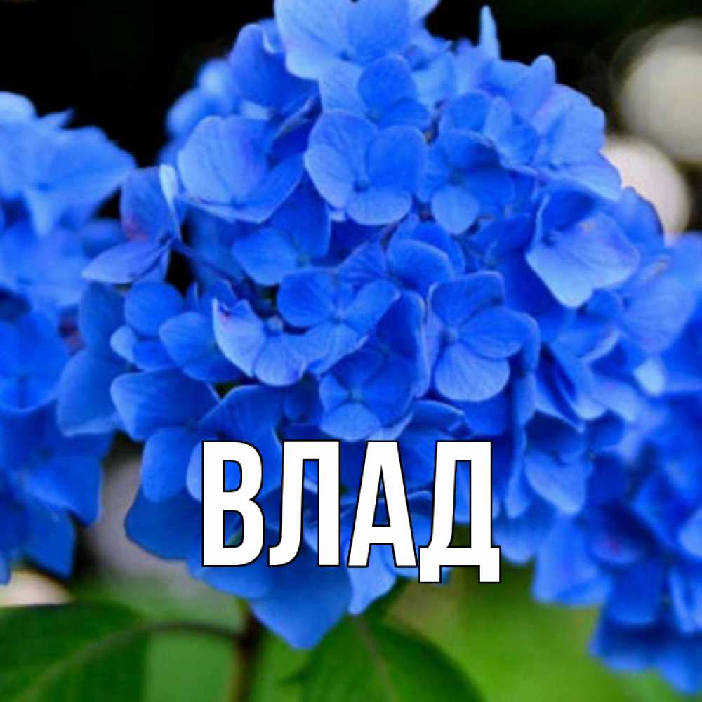 Картинка  с именем , Влад