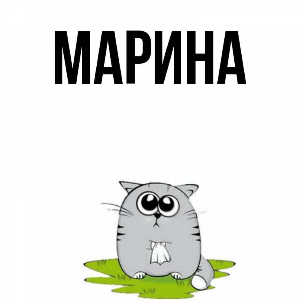 Открытка на каждый день с именем, Марина Главная грустный котяра Прикольная открытка с пожеланием онлайн скачать бесплатно 