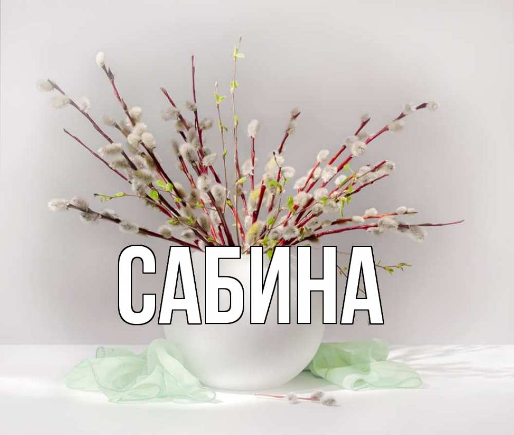 Открытка на каждый день с именем, Сабина Главная верба Прикольная открытка с пожеланием онлайн скачать бесплатно 