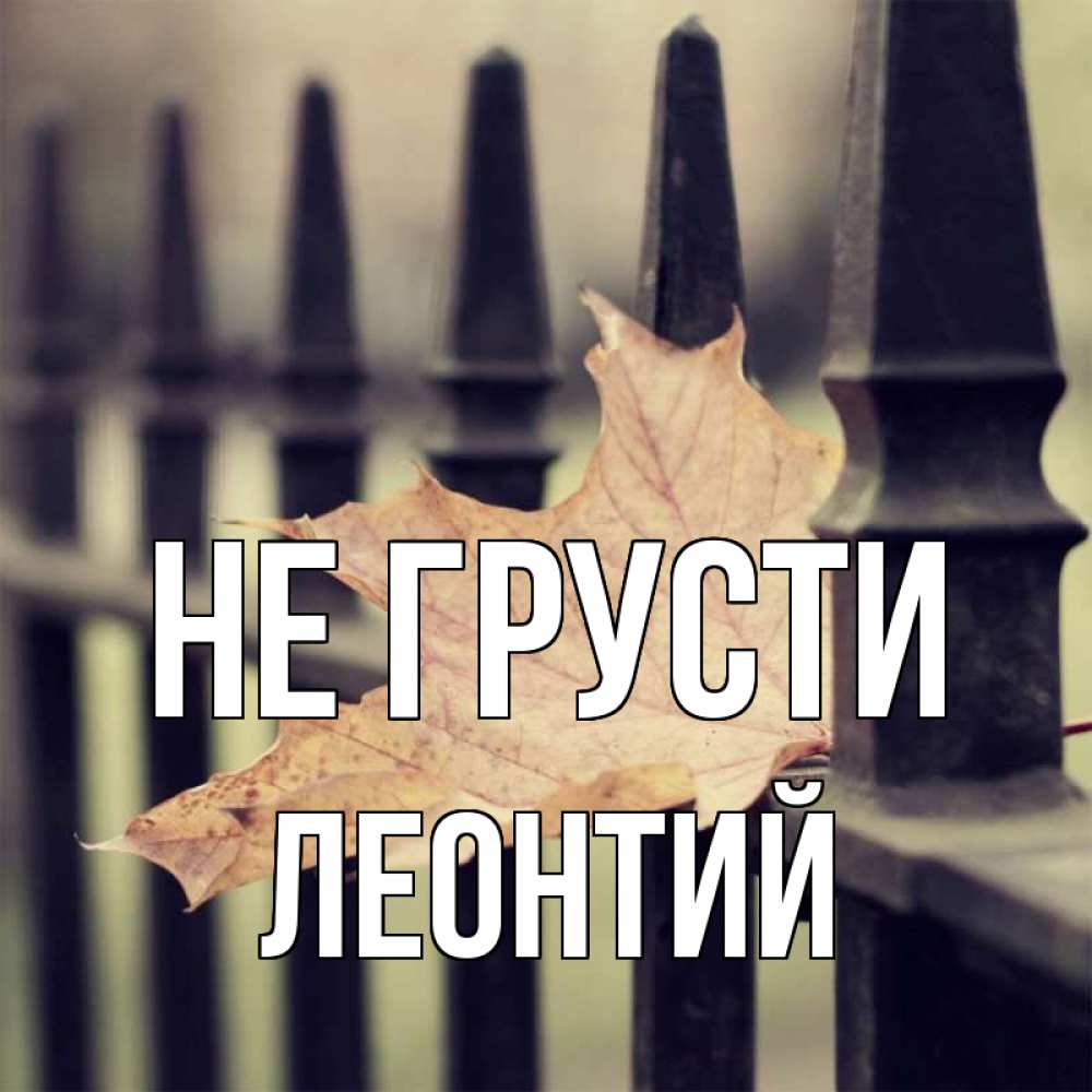Открытка на каждый день с именем, Леонтий Не грусти лист клена Прикольная открытка с пожеланием онлайн скачать бесплатно 