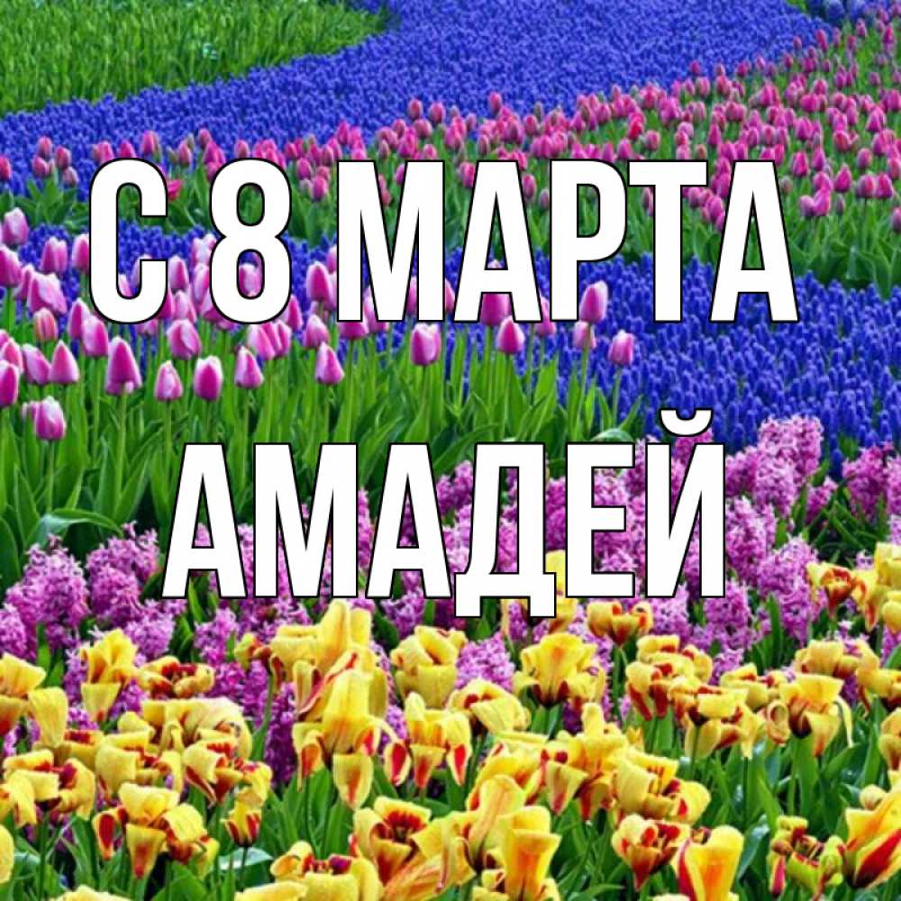 Открытка на каждый день с именем, Амадей С 8 МАРТА цветы Прикольная открытка с пожеланием онлайн скачать бесплатно 