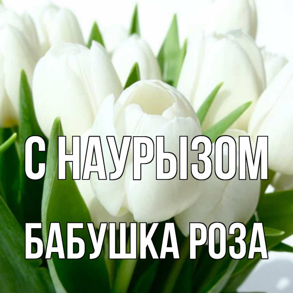 Открытка на каждый день с именем, Бабушка-Роза С наурызом цветы Прикольная открытка с пожеланием онлайн скачать бесплатно 