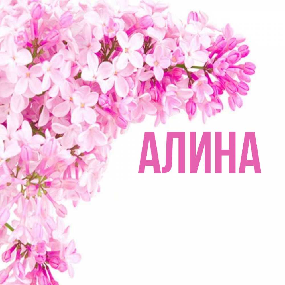 Картинки для алины