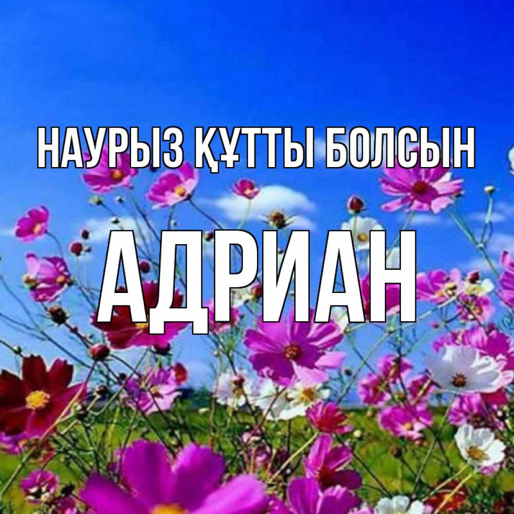 Открытка на каждый день с именем, Адриан Наурыз құтты болсын цветы Прикольная открытка с пожеланием онлайн скачать бесплатно 