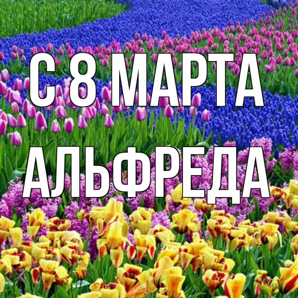 Открытка на каждый день с именем, Альфреда С 8 МАРТА цветы Прикольная открытка с пожеланием онлайн скачать бесплатно 