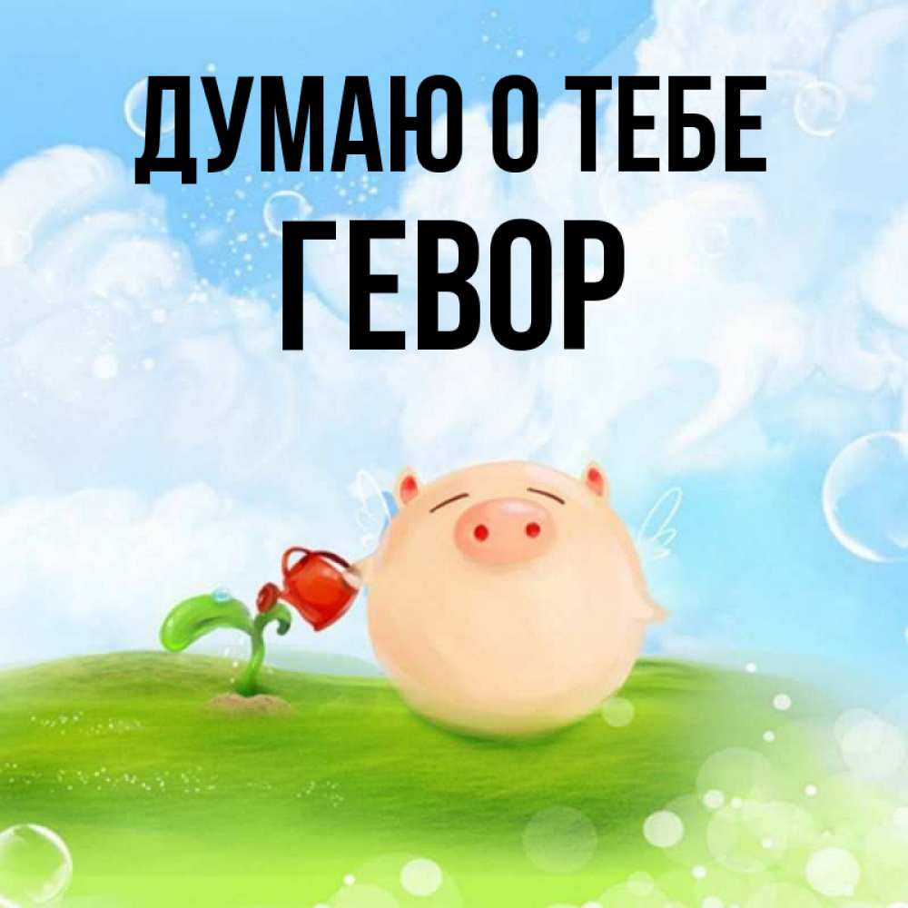 Открытка на каждый день с именем, Гевор Думаю о тебе позитивная свинюшка Прикольная открытка с пожеланием онлайн скачать бесплатно 
