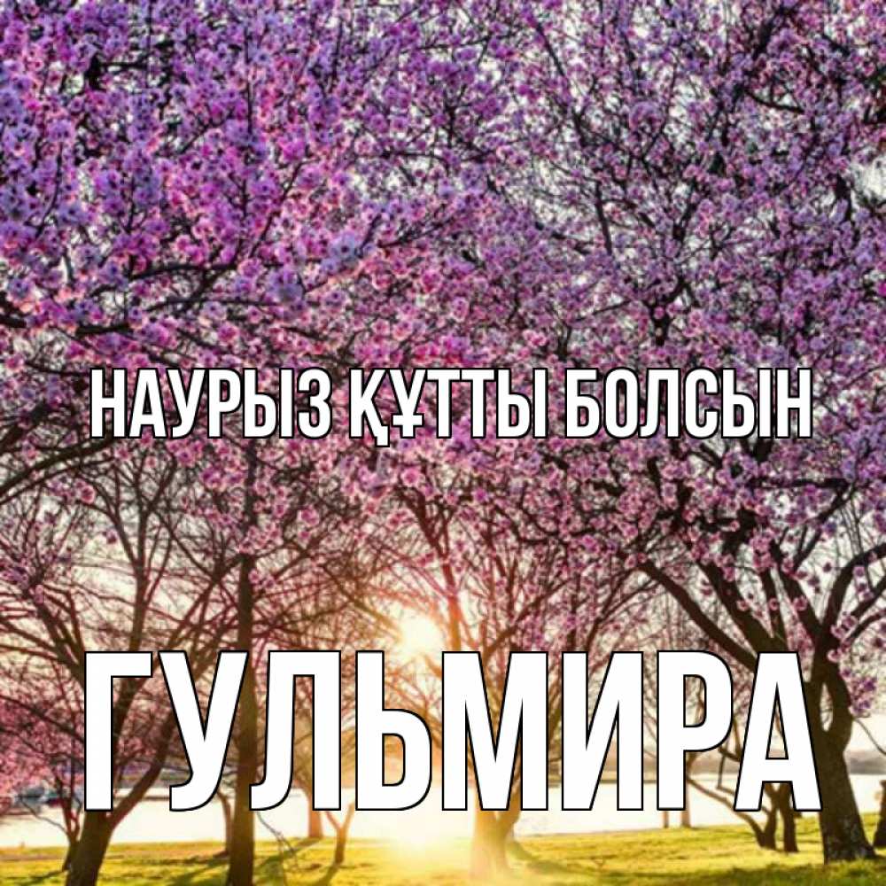 Открытка на каждый день с именем, Гульмира Наурыз құтты болсын наурыз Прикольная открытка с пожеланием онлайн скачать бесплатно 