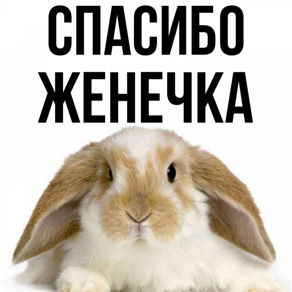 Спасибо Женечка