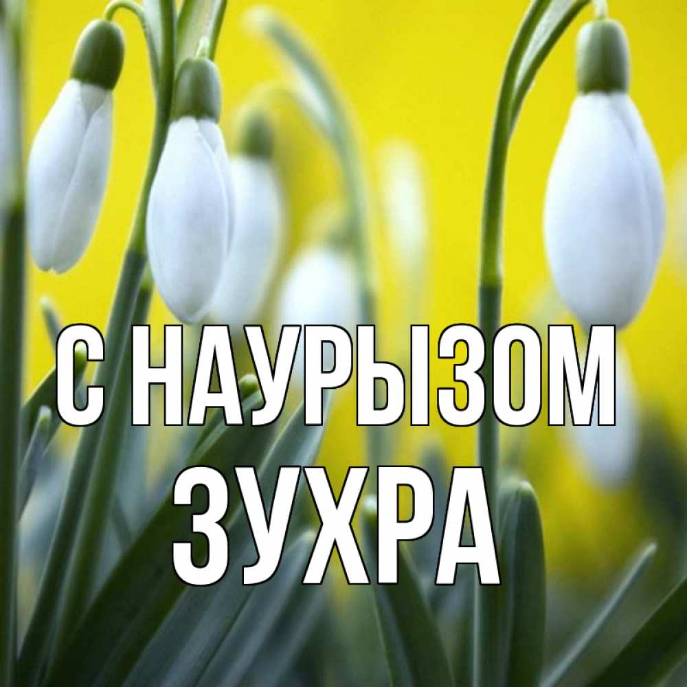 Открытка на каждый день с именем, Зухра С наурызом весенние цветы Прикольная открытка с пожеланием онлайн скачать бесплатно 