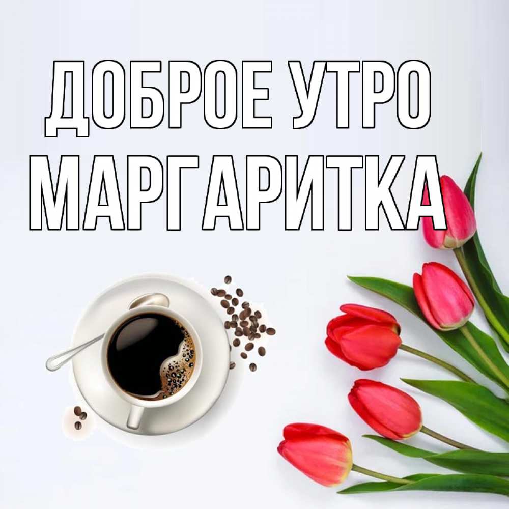 Открытка на каждый день с именем, МАРГАРИТКА Доброе утро красное блюдце Прикольная открытка с пожеланием онлайн скачать бесплатно 