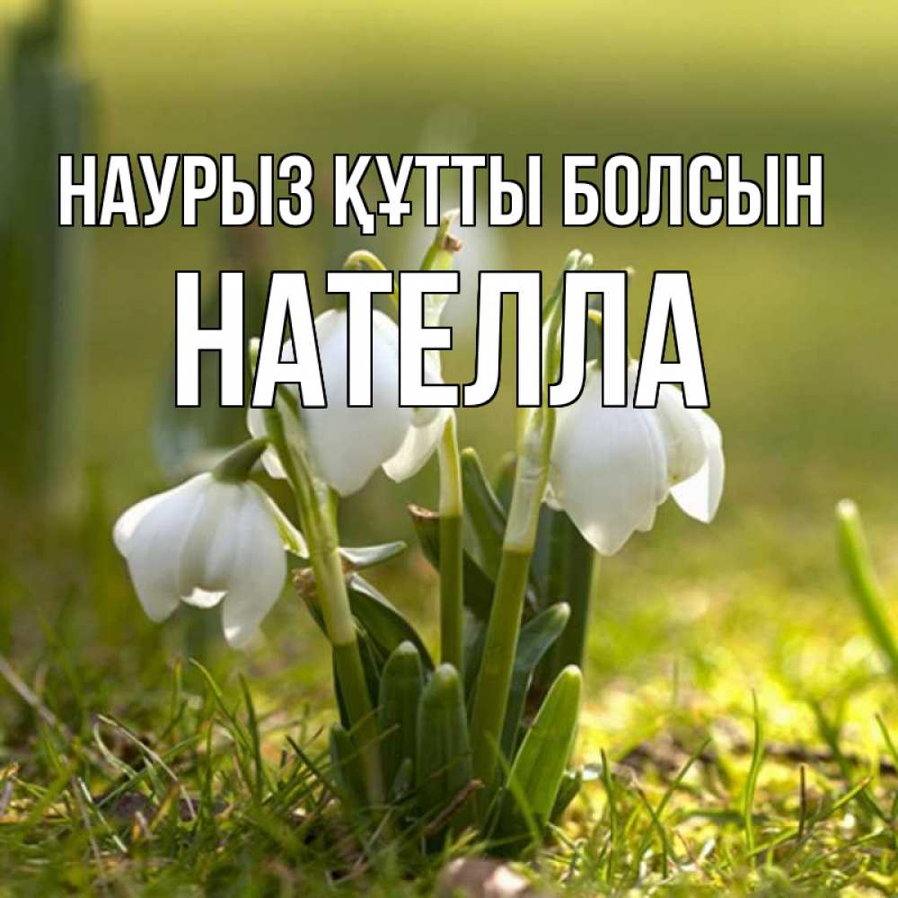 Открытка на каждый день с именем, Нателла Наурыз құтты болсын ранние цветы 2 Прикольная открытка с пожеланием онлайн скачать бесплатно 