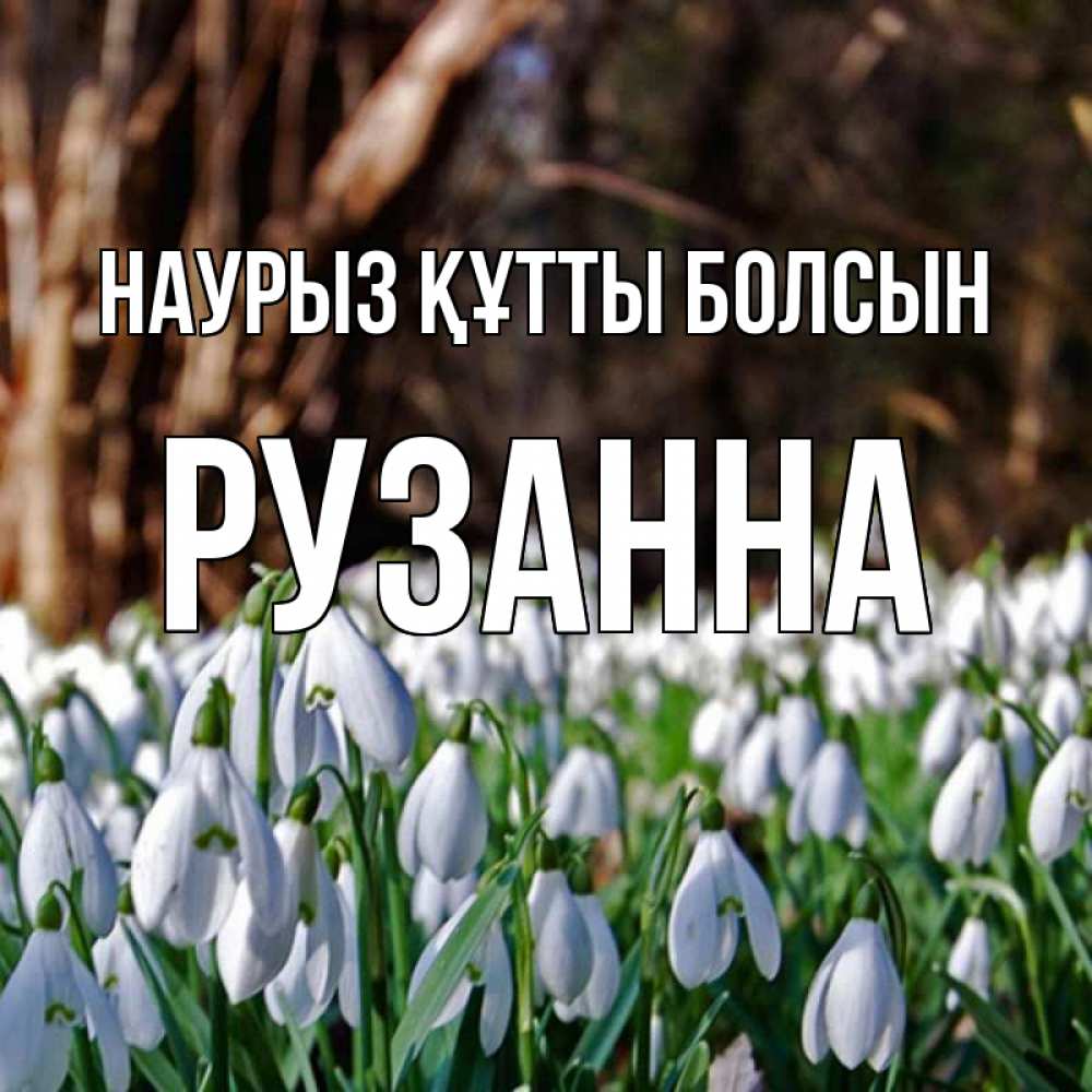 Открытка на каждый день с именем, Рузанна Наурыз құтты болсын с подснежниками 1 Прикольная открытка с пожеланием онлайн скачать бесплатно 