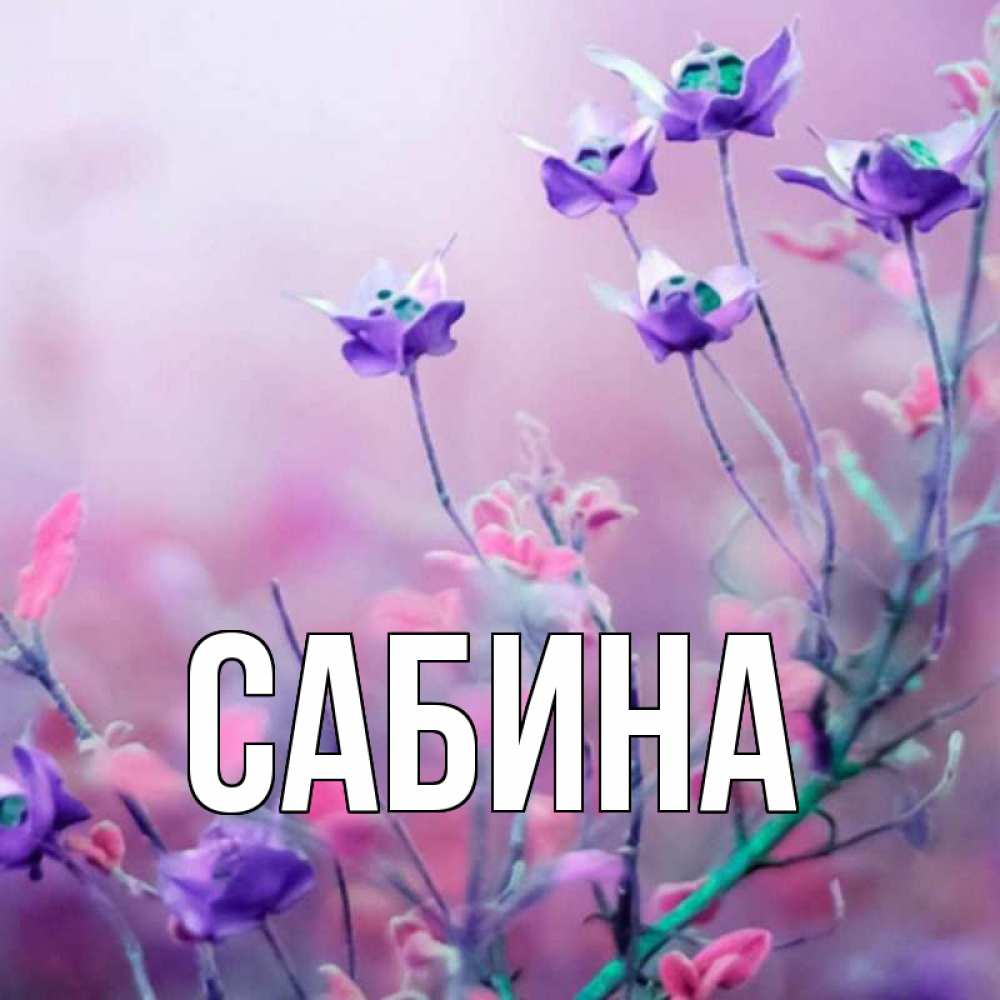 Открытка на каждый день с именем, Сабина Главная наурыз  2 Прикольная открытка с пожеланием онлайн скачать бесплатно 