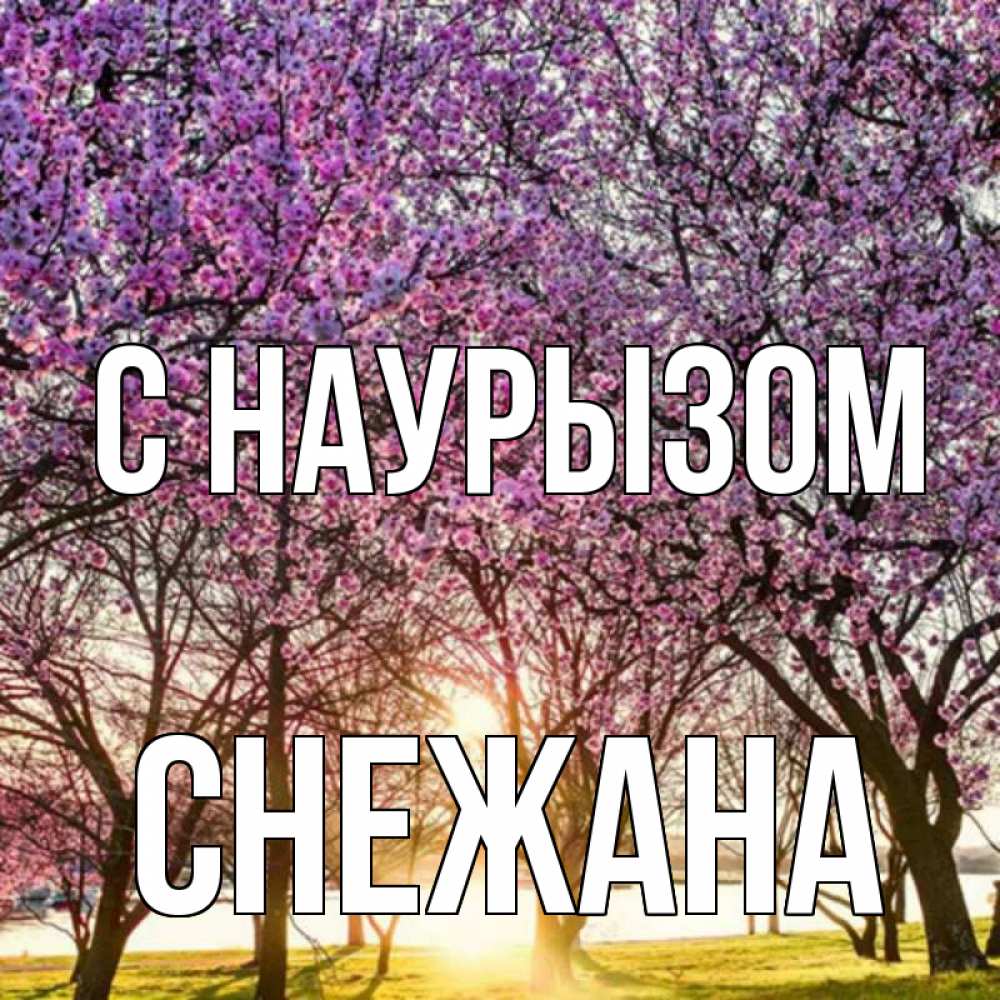 Открытка на каждый день с именем, Снежана С наурызом праздник весны наурыз Прикольная открытка с пожеланием онлайн скачать бесплатно 