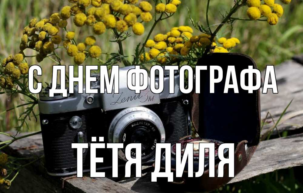 Открытка на каждый день с именем, Тётя-Диля С днем фотографа с днем фотографа Прикольная открытка с пожеланием онлайн скачать бесплатно 