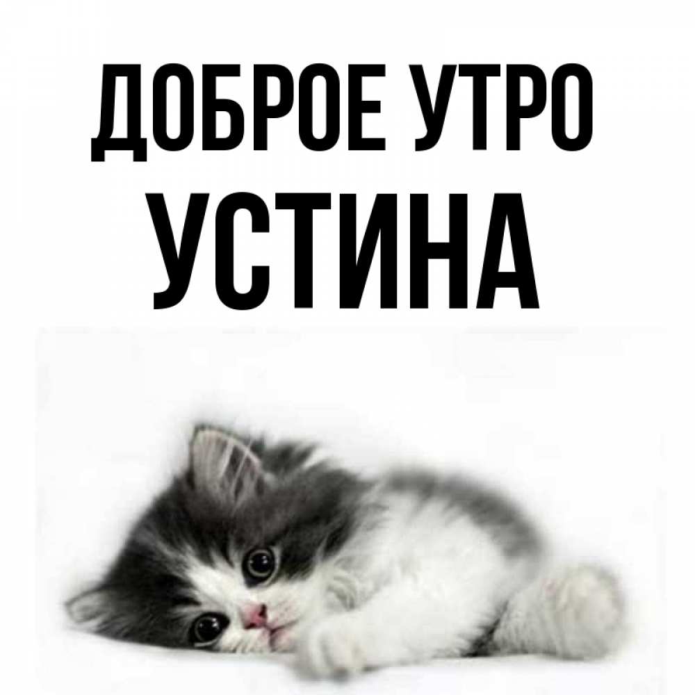 Открытка на каждый день с именем, Устина Доброе утро кот лапки Прикольная открытка с пожеланием онлайн скачать бесплатно 