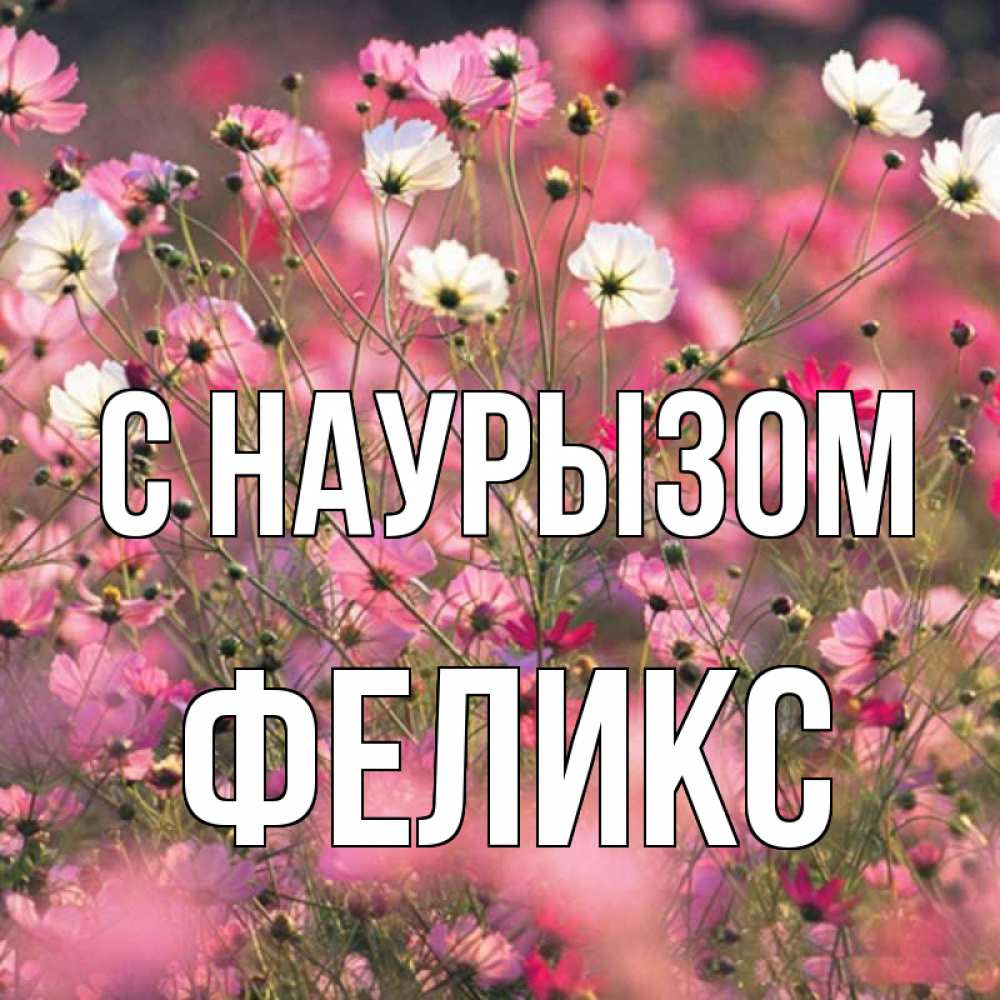 Открытка на каждый день с именем, Феликс С наурызом красиво 1 Прикольная открытка с пожеланием онлайн скачать бесплатно 