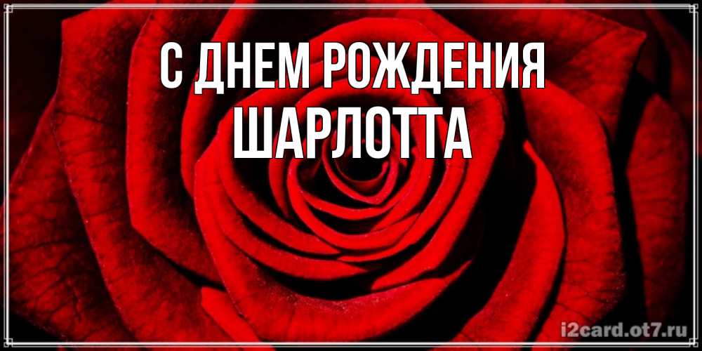 Открытка на каждый день с именем, Шарлотта С днем рождения алая роза Прикольная открытка с пожеланием онлайн скачать бесплатно 