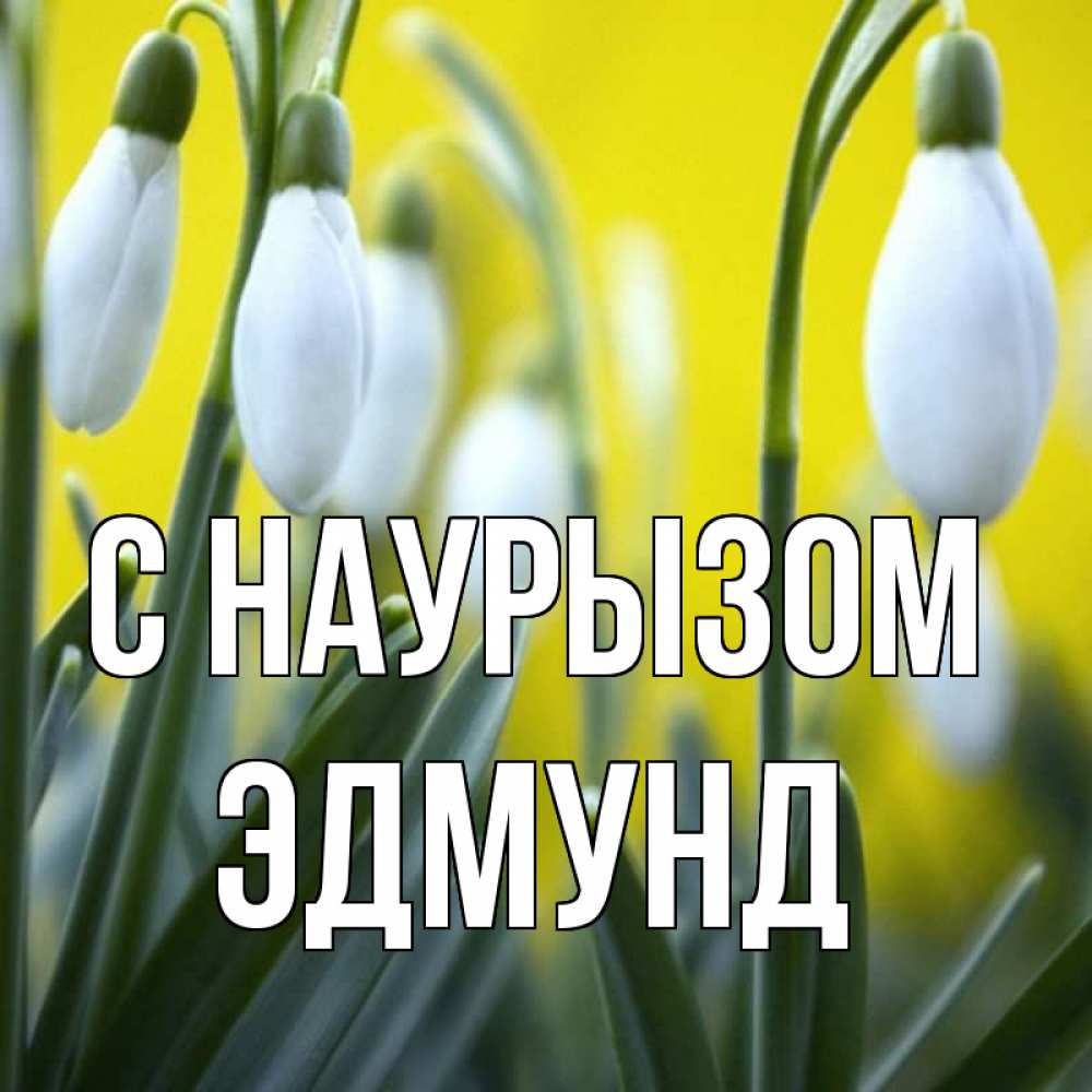 Открытка на каждый день с именем, Эдмунд С наурызом весенние цветы Прикольная открытка с пожеланием онлайн скачать бесплатно 