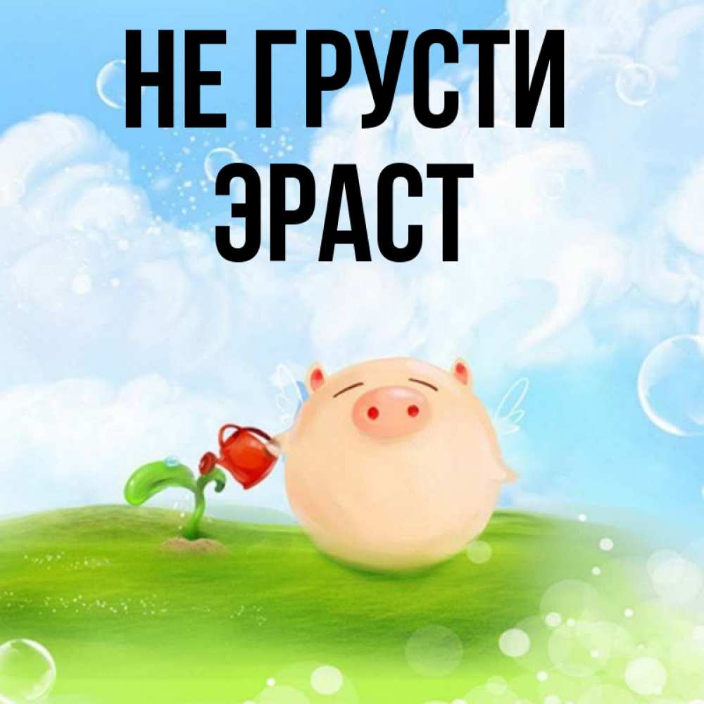 Открытка на каждый день с именем, Эраст Не грусти поливает цветок порося Прикольная открытка с пожеланием онлайн скачать бесплатно 