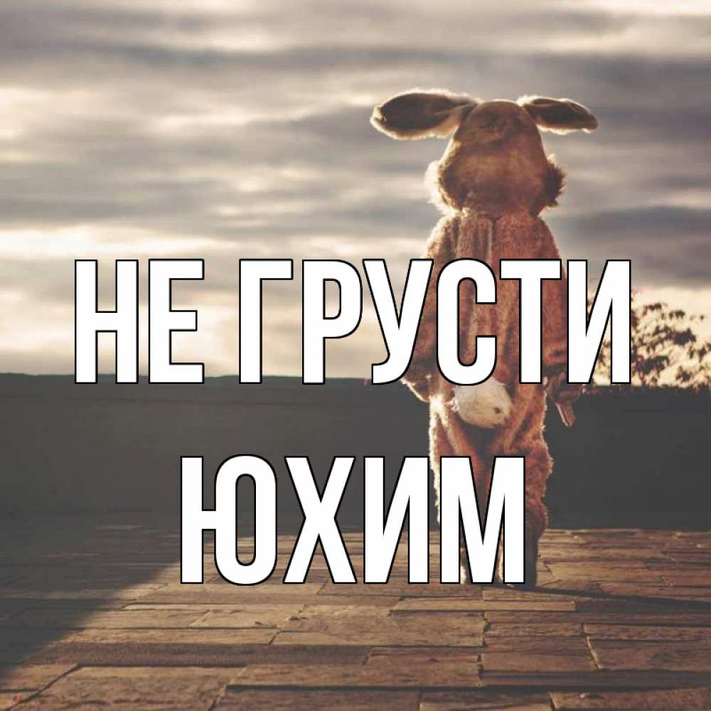 Открытка на каждый день с именем, Юхим Не грусти со спины Прикольная открытка с пожеланием онлайн скачать бесплатно 