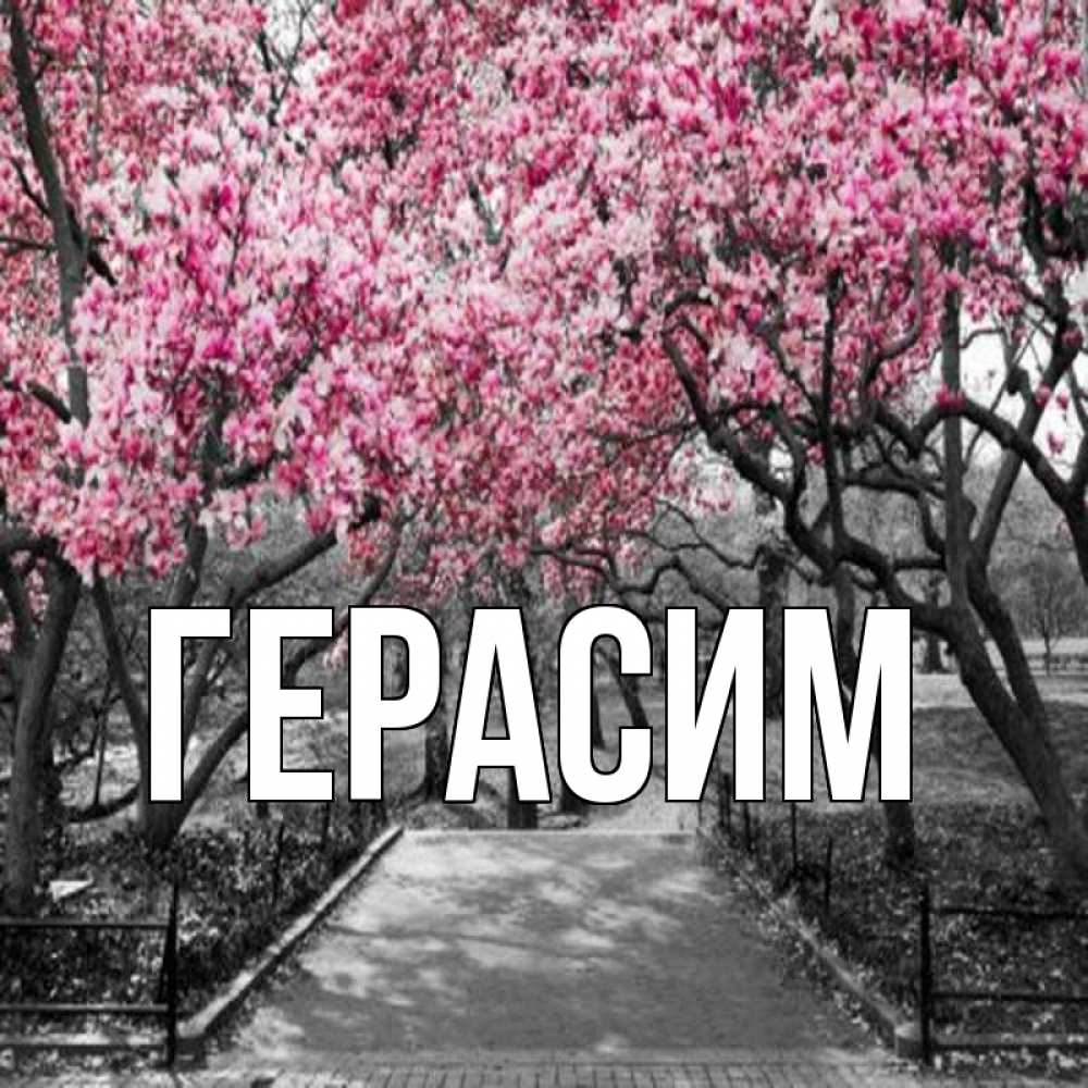 Открытка на каждый день с именем, Герасим Главная обработанное фото Прикольная открытка с пожеланием онлайн скачать бесплатно 