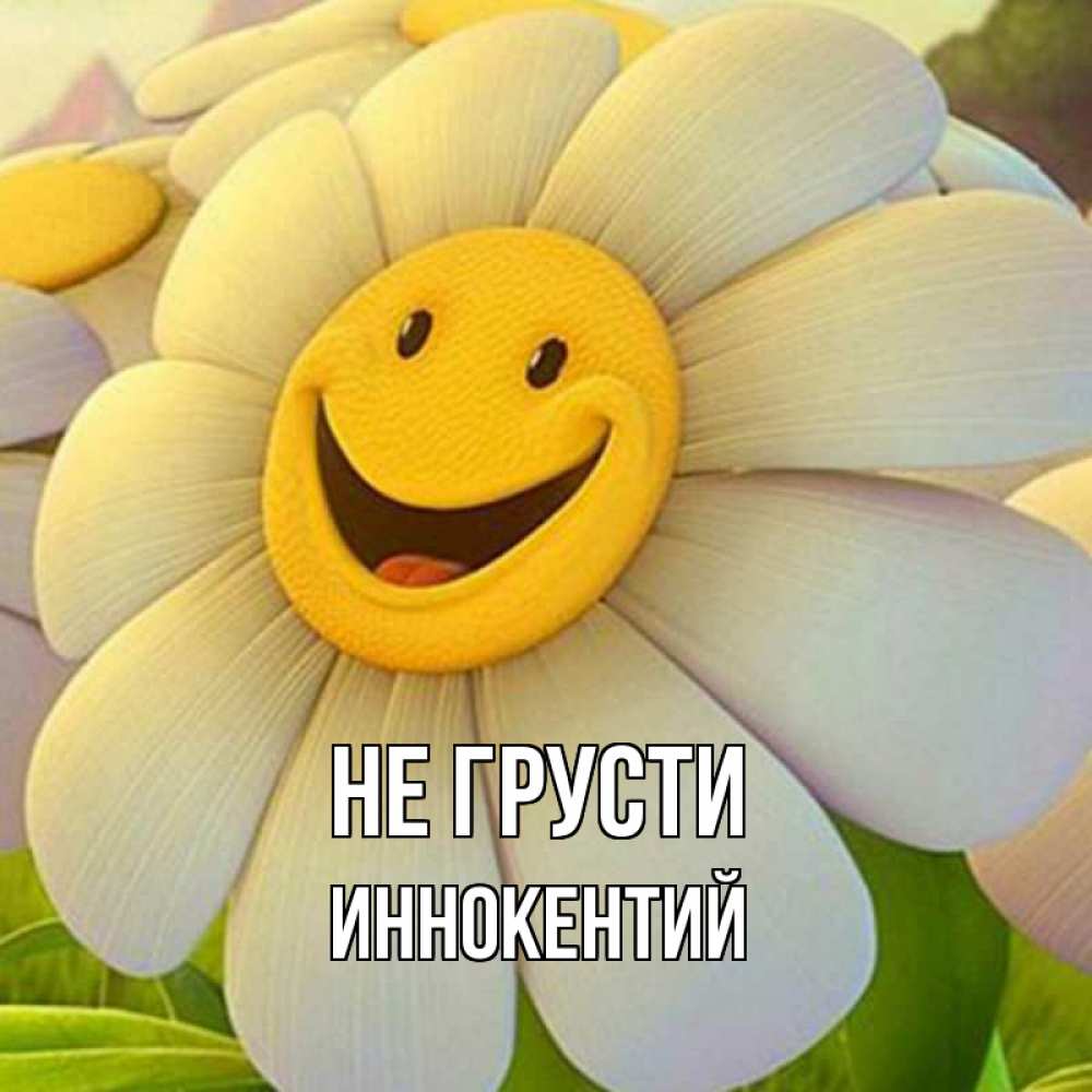 Открытка на каждый день с именем, Иннокентий Не грусти огромная улыбающаяся ромашуща Прикольная открытка с пожеланием онлайн скачать бесплатно 