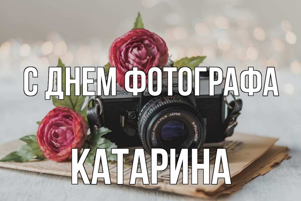 Открытка на каждый день с именем, Катарина С днем фотографа с днем фотографа Прикольная открытка с пожеланием онлайн скачать бесплатно 