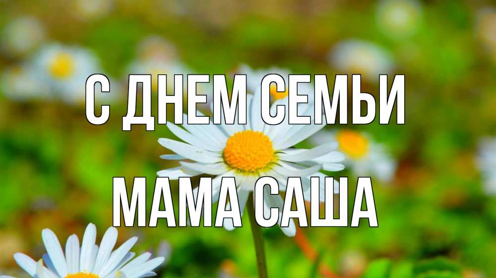 Открытка на каждый день с именем, Мама-Саша С днем семьи с днем семьи Прикольная открытка с пожеланием онлайн скачать бесплатно 