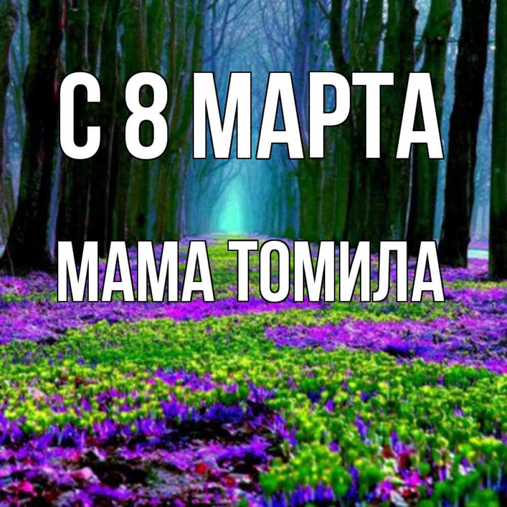 Открытка на каждый день с именем, Мама-Томила С 8 МАРТА фиолетовые цветы в лесу 1 Прикольная открытка с пожеланием онлайн скачать бесплатно 