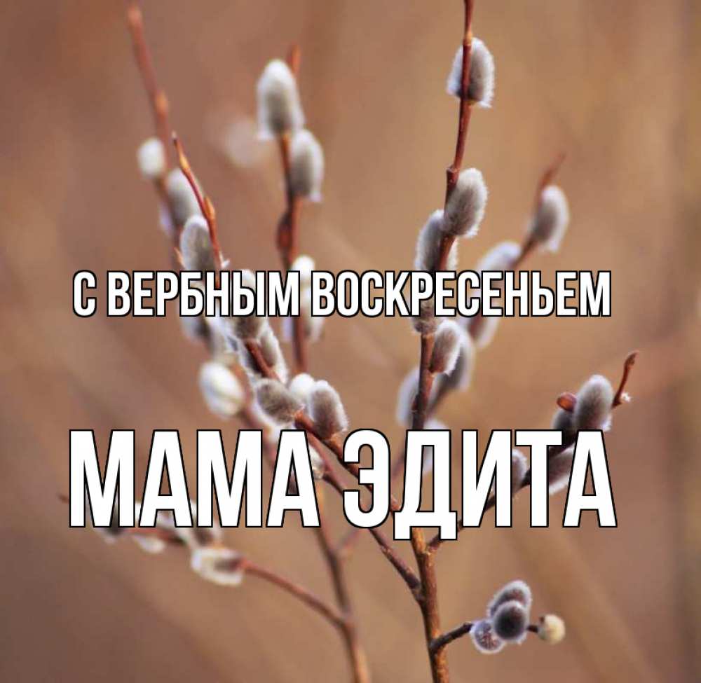 Открытка на каждый день с именем, Мама-Эдита С вербным воскресеньем верба Прикольная открытка с пожеланием онлайн скачать бесплатно 