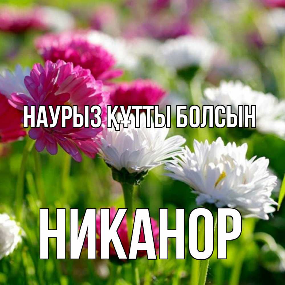Открытка на каждый день с именем, Никанор Наурыз құтты болсын наурыз Прикольная открытка с пожеланием онлайн скачать бесплатно 