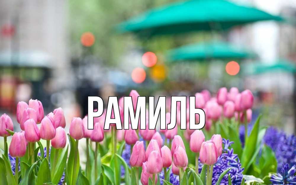 Открытка на каждый день с именем, Рамиль Главная С 1 мая Прикольная открытка с пожеланием онлайн скачать бесплатно 