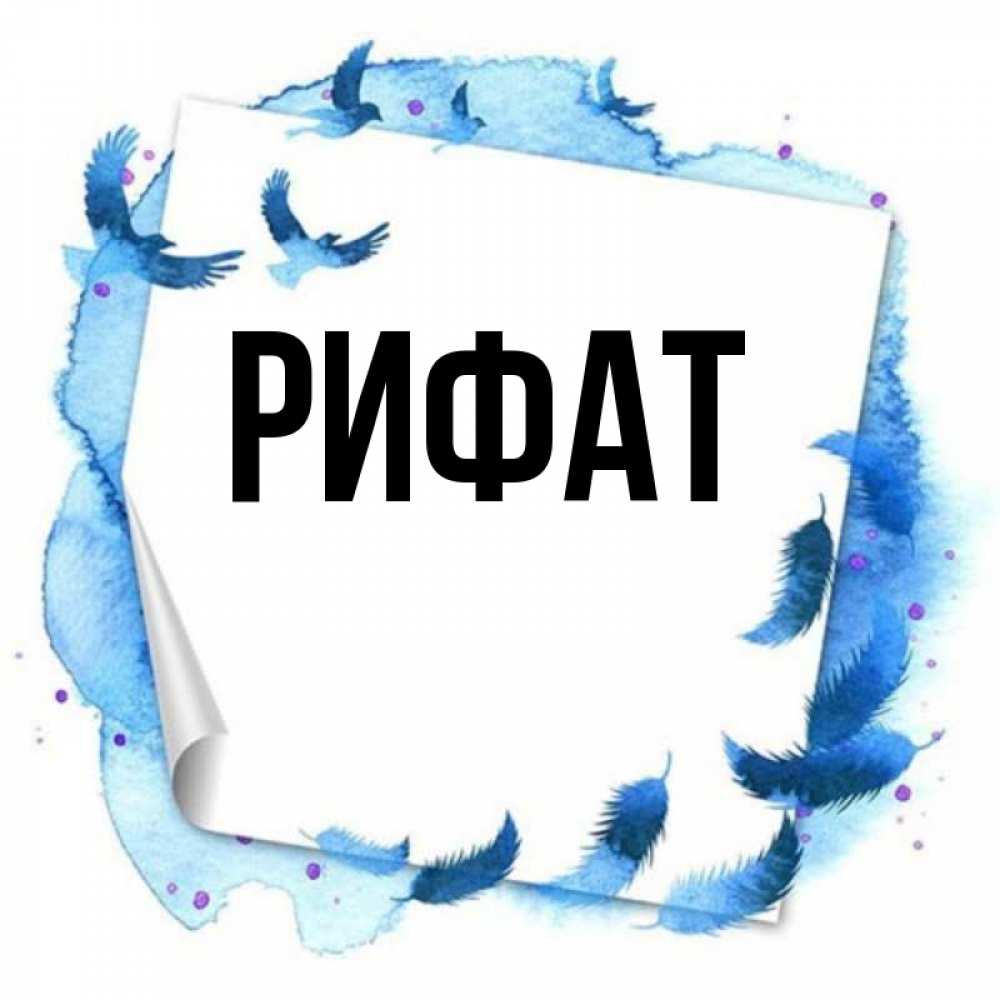 Открытка на каждый день с именем, Рифат Главная красивые птицы летят Прикольная открытка с пожеланием онлайн скачать бесплатно 