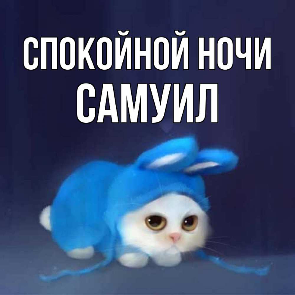 Открытка на каждый день с именем, Самуил Спокойной ночи кот в голубом костюме кролика с ушками Прикольная открытка с пожеланием онлайн скачать бесплатно 