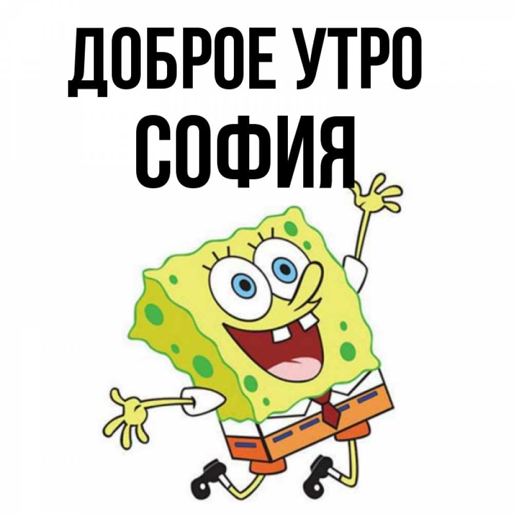 София Доброе Утро