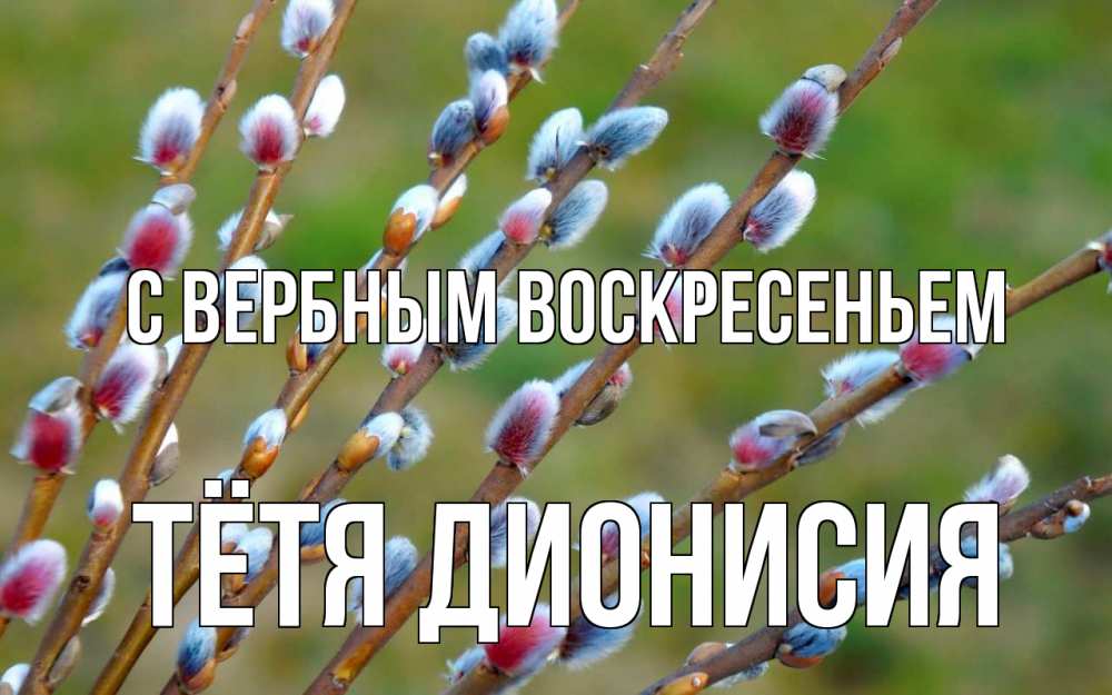 Открытка на каждый день с именем, Тётя-Дионисия С вербным воскресеньем верба Прикольная открытка с пожеланием онлайн скачать бесплатно 