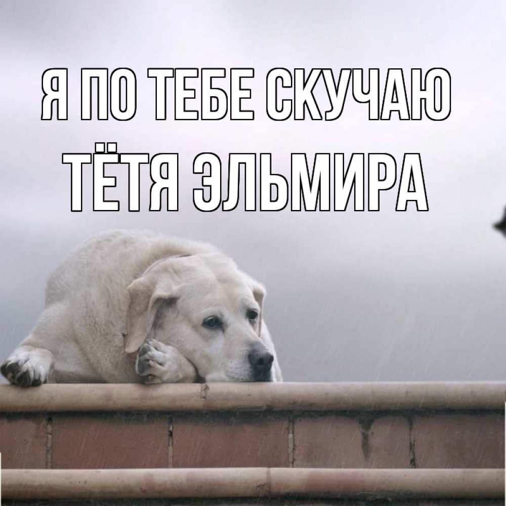 Открытка на каждый день с именем, Тётя-Эльмира Я по тебе скучаю ждет Прикольная открытка с пожеланием онлайн скачать бесплатно 