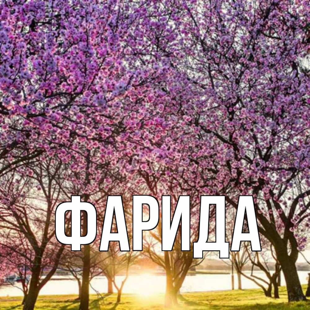 Открытка на каждый день с именем, Фарида Главная праздник весны наурыз Прикольная открытка с пожеланием онлайн скачать бесплатно 