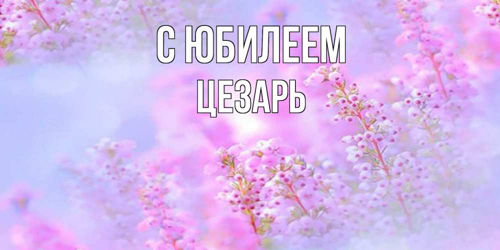 Открытка на каждый день с именем, Цезарь С юбилеем красивая открытка с мелкими цветами Прикольная открытка с пожеланием онлайн скачать бесплатно 