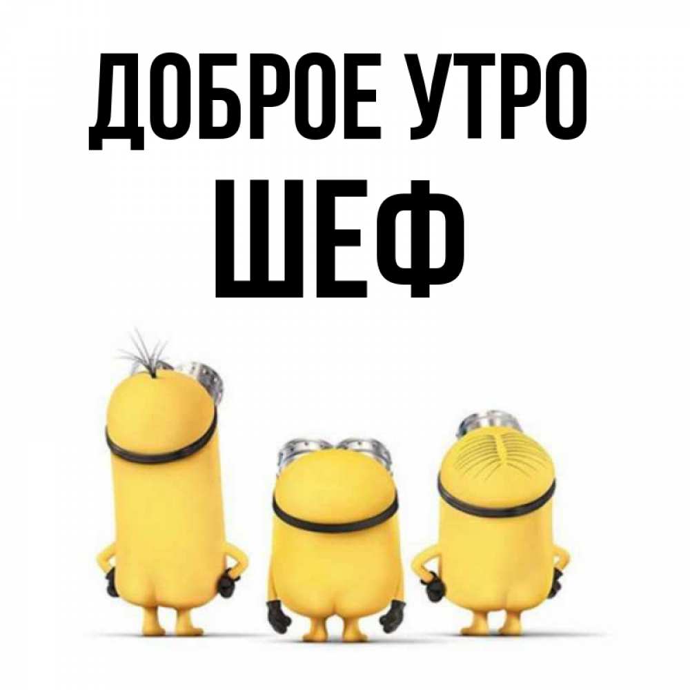 Открытка на каждый день с именем, Шеф Доброе утро подписать открытку онлайн бесплатно Прикольная открытка с пожеланием онлайн скачать бесплатно 