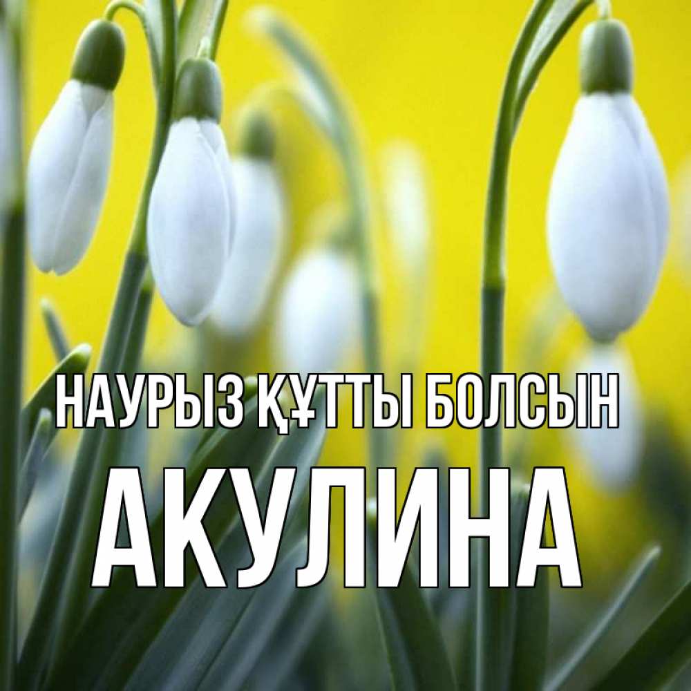 Открытка на каждый день с именем, Акулина Наурыз құтты болсын весенние цветы Прикольная открытка с пожеланием онлайн скачать бесплатно 