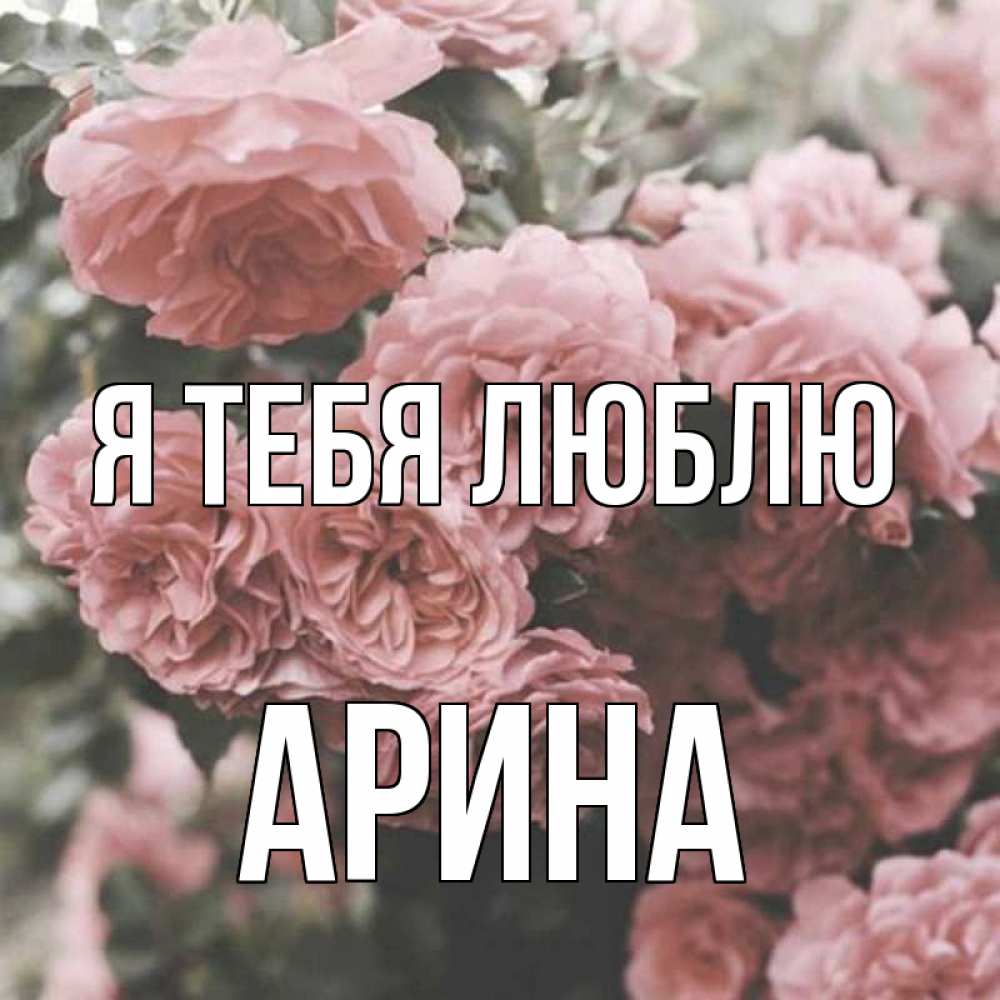 Открытка на каждый день с именем, Арина Я тебя люблю розы 3 Прикольная открытка с пожеланием онлайн скачать бесплатно 