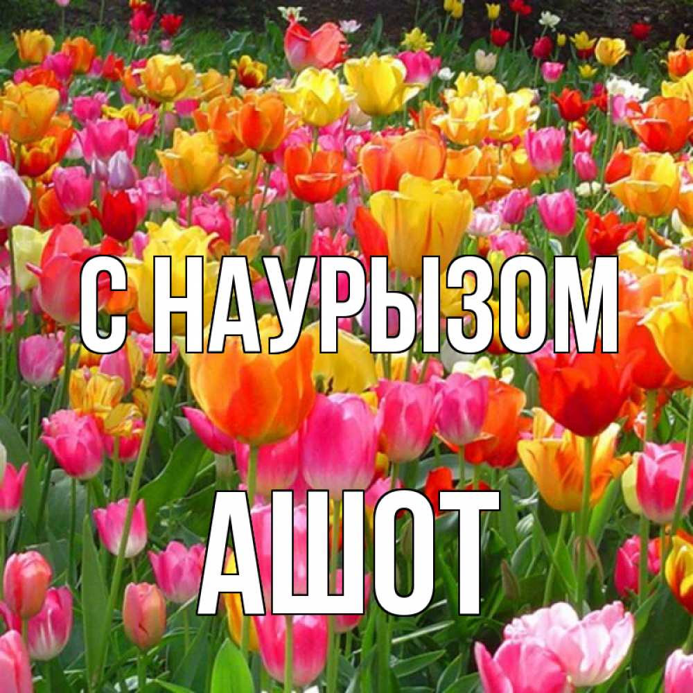 Открытка на каждый день с именем, Ашот С наурызом праздник весны наурыз 4 Прикольная открытка с пожеланием онлайн скачать бесплатно 