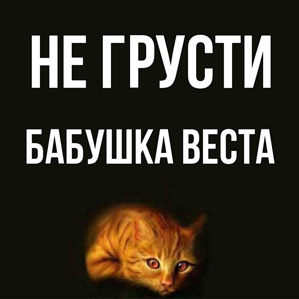 Открытка на каждый день с именем, Бабушка-Веста Не грусти лежащий кот в темноте Прикольная открытка с пожеланием онлайн скачать бесплатно 