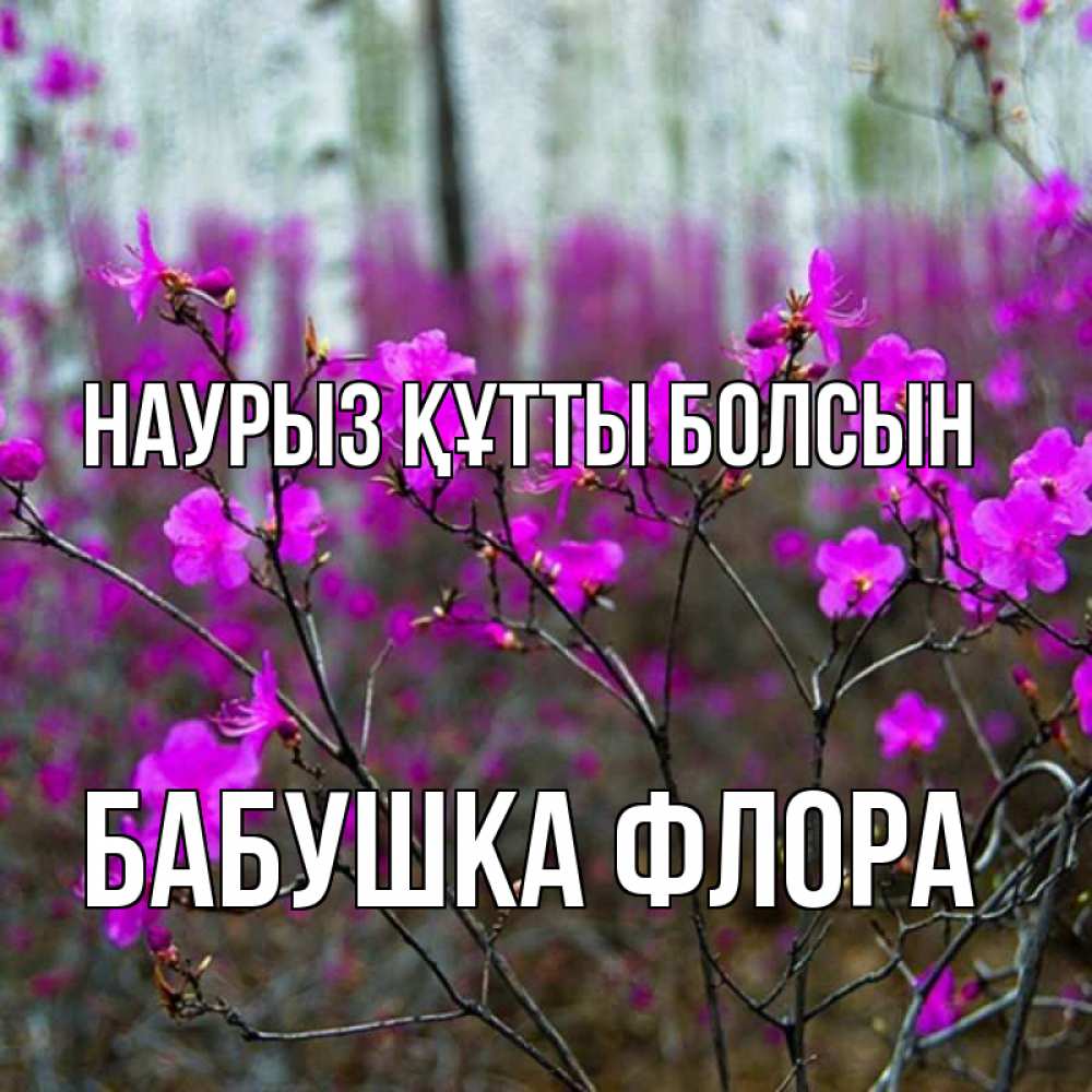 Открытка на каждый день с именем, Бабушка-Флора Наурыз құтты болсын дикие цветы Прикольная открытка с пожеланием онлайн скачать бесплатно 