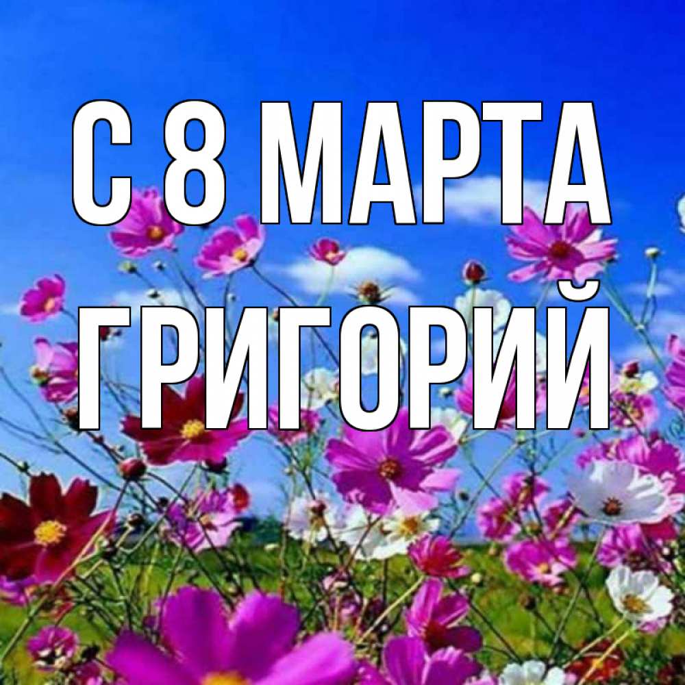 Открытка на каждый день с именем, Григорий С 8 МАРТА цветы Прикольная открытка с пожеланием онлайн скачать бесплатно 