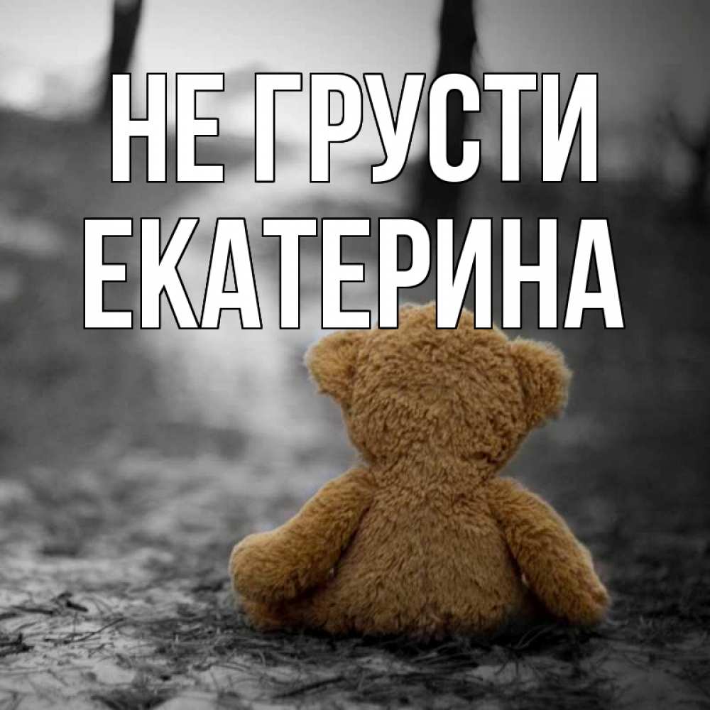 Открытка на каждый день с именем, Екатерина Не грусти медведь со спин Прикольная открытка с пожеланием онлайн скачать бесплатно 
