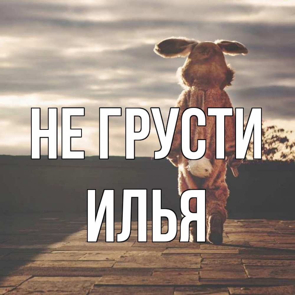 Открытка на каждый день с именем, Илья Не грусти со спины Прикольная открытка с пожеланием онлайн скачать бесплатно 