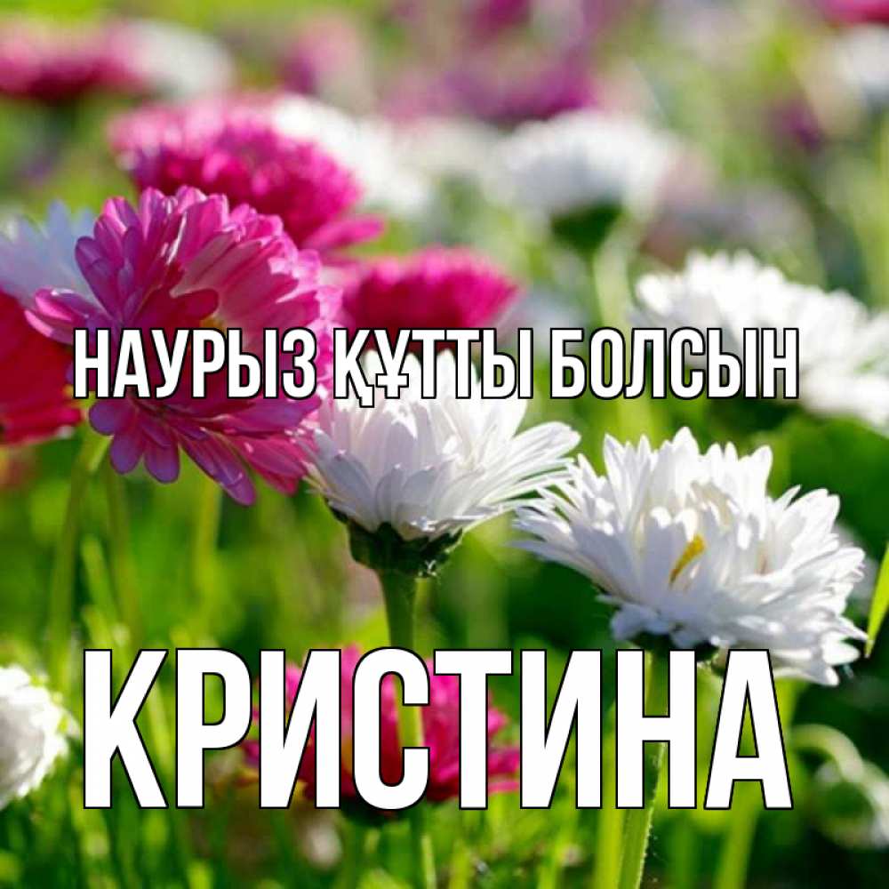 Открытка на каждый день с именем, Кристина Наурыз құтты болсын наурыз Прикольная открытка с пожеланием онлайн скачать бесплатно 